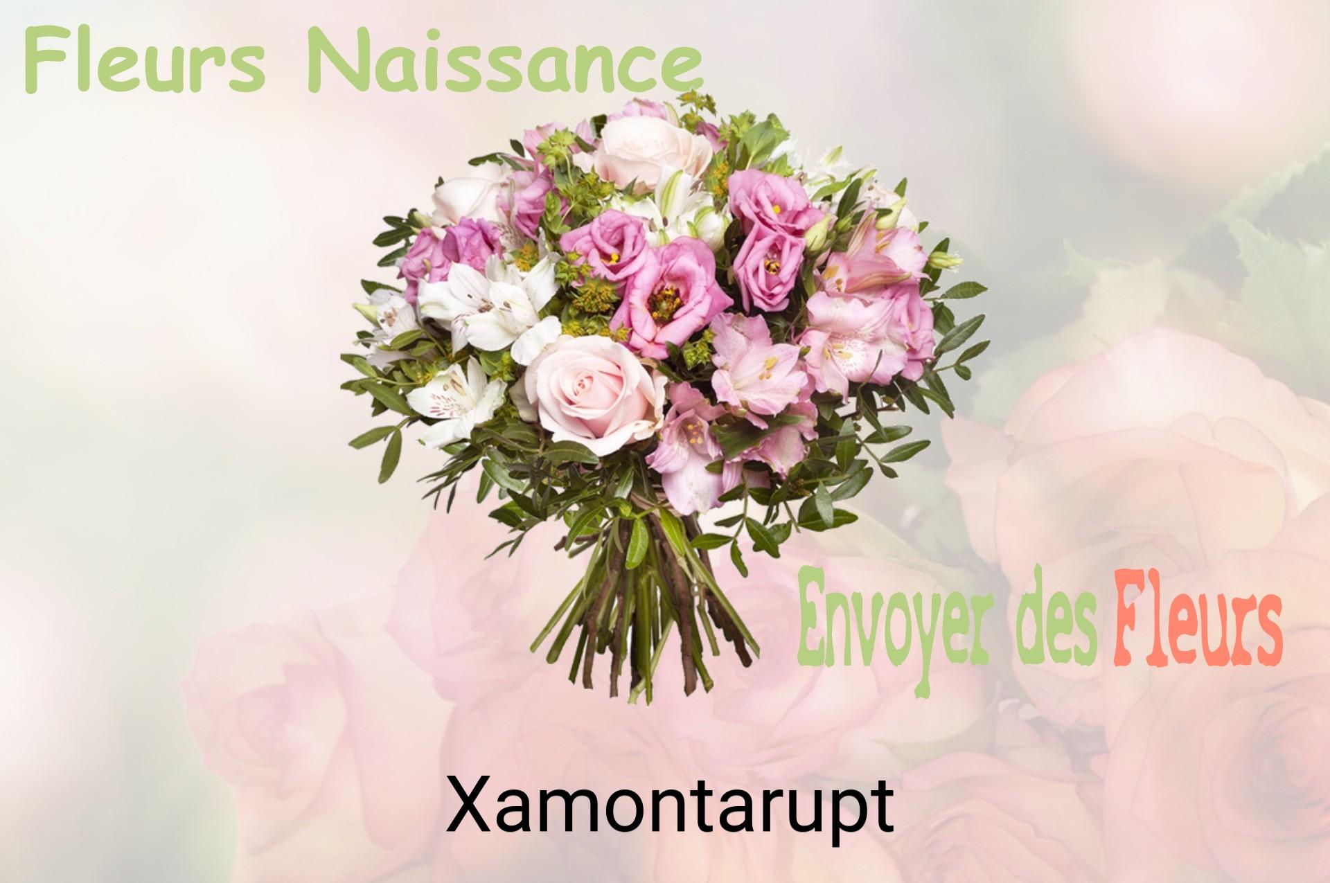 Bouquet de fleurs de naissance livré à Xamontarupt